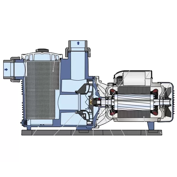 Pompa basenowa MAGNIFICA 4m JEDNOFAZOWA  1,5 kW Pedrollo
