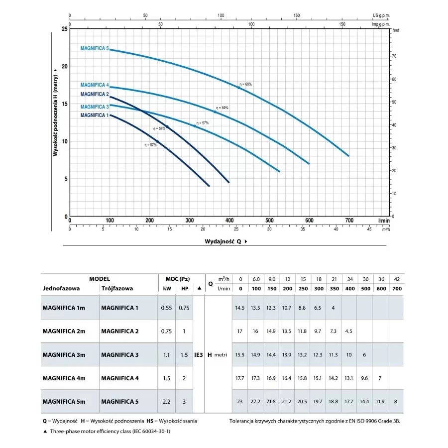 Pompa basenowa MAGNIFICA 5 Trójfazowa 2,2 kW Pedrollo