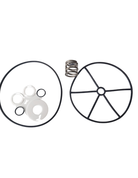 Zestaw uszczelniający do zaworu 6 drogowego 3" Praher