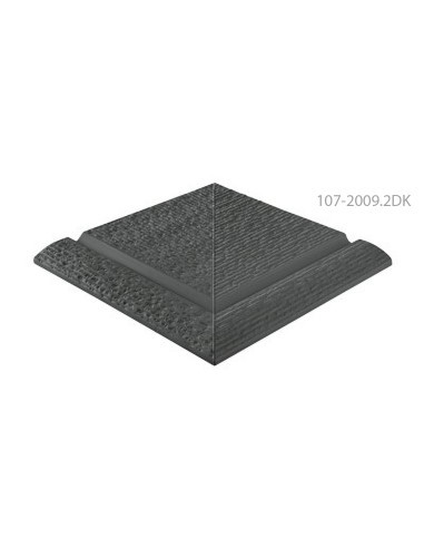 107-2009.2DK serapool emool