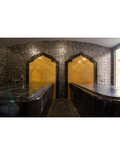 Mozaika basenowa / spa seria metal kolor Aurum Ezarri 2